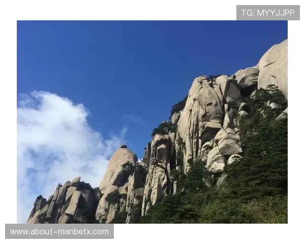 manbext万博官方登录首页入口常见问题解答汇总，帮助用户解决登录过程中遇到的各种困扰与困难