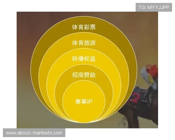 T8体育如何打造专业化体育娱乐平台,满足不同用户的多样需求 T8体育如何打造专业化体育娱乐平台,满足不同用户的多样需求